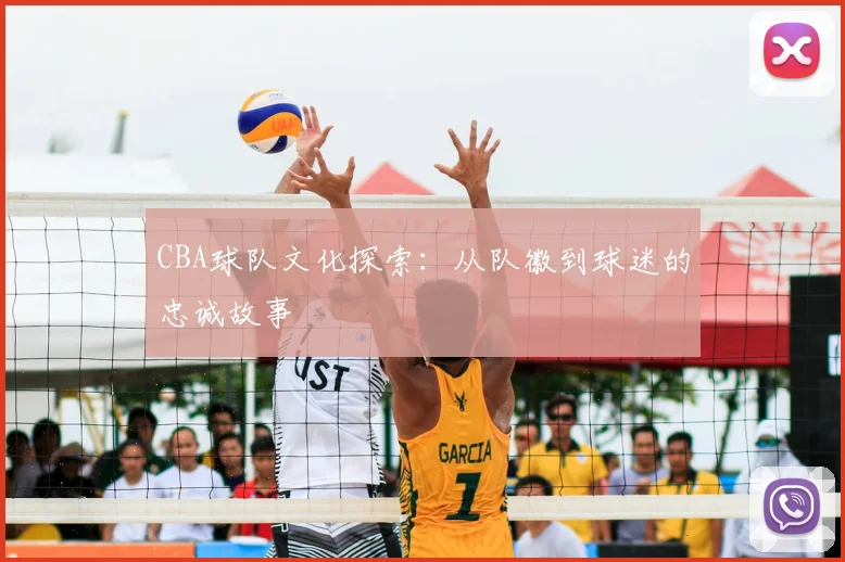 CBA球队文化探索：从队徽到球迷的忠诚故事